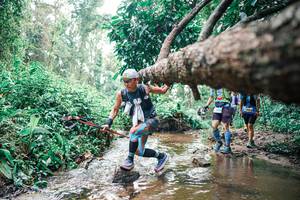 BIB: 
                            <button type="button" onclick="openModal(25374620)" class="btn btn-primary btn-sm float-right btn-popup" data-toggle="modal" data-target=".modal-high-quality">
                        <i class="fas fa-shopping-cart"></i> Add to Cart
                    </button>
                                            <button type="button" onclick="isThisMe(25374620, true)" class="btn btn-success btn-sm float-right btn-popup btn-isme hidden" data-toggle="tooltip" data-placement="bottom" title="นี่คือรูปของคุณใช่ไหม คลิกที่นี่เพื่อเอาเข้าอัลบั้ม">
                        <i class="fas fa-plus"></i> Add to album
                    </button>
                    <button type="button" onclick="isThisMe(25374620, false)" class="btn btn-warning btn-sm float-right btn-popup btn-isnotme hidden">
                        <i class="fas fa-ban"></i> Remove from album
                    </button>